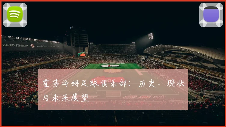 霍芬海姆足球俱乐部：历史、现状与未来展望