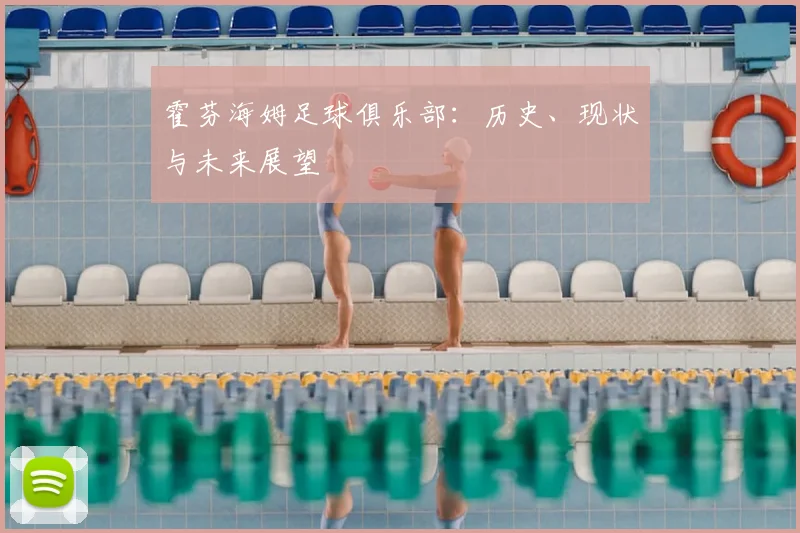 霍芬海姆足球俱乐部：历史、现状与未来展望